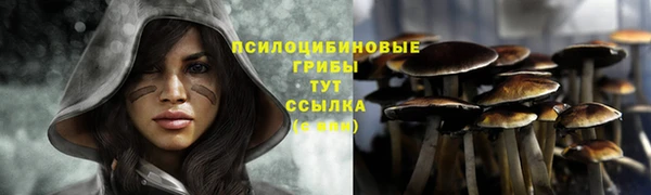 гашик Переславль-Залесский