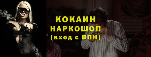 гашик Переславль-Залесский