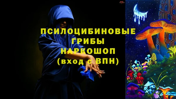 спиды Пестово