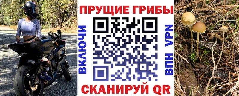 Галлюциногенные грибы Psilocybine cubensis Артёмовск
